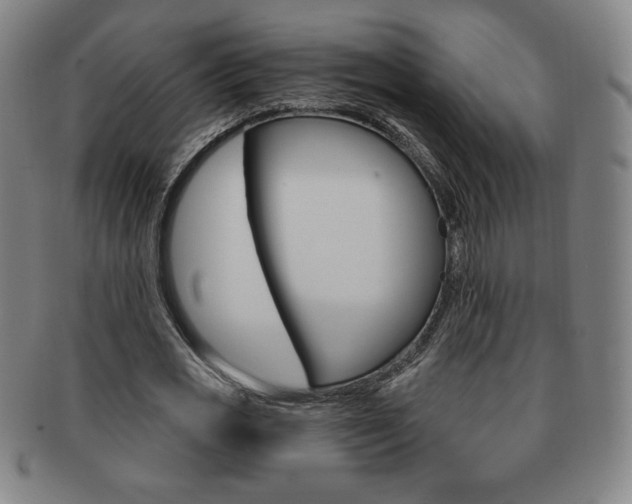 X0000091640725200708230948