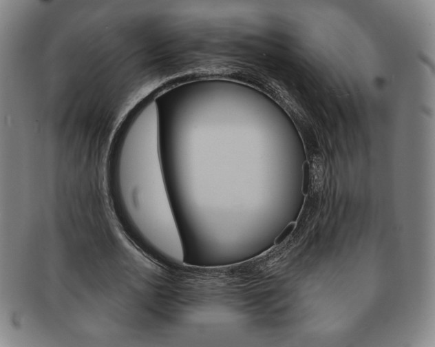 X0000091640726200708230948