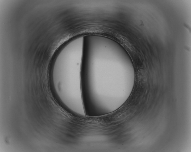 X0000091640727200708230948
