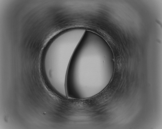 X0000091640728200708230948
