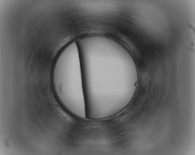 X0000091640729200708230948