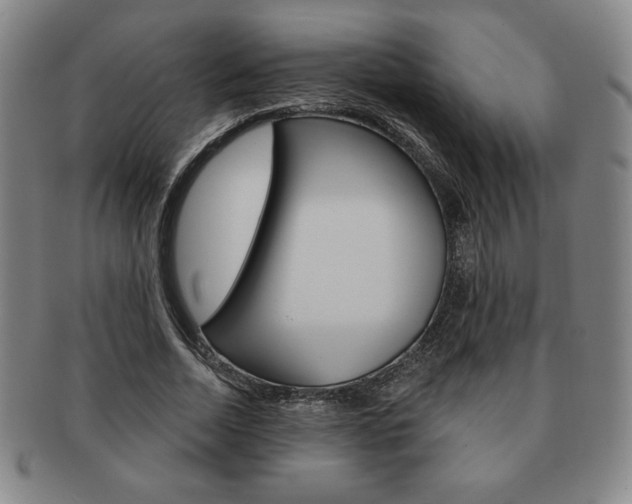 X0000091640730200708230948