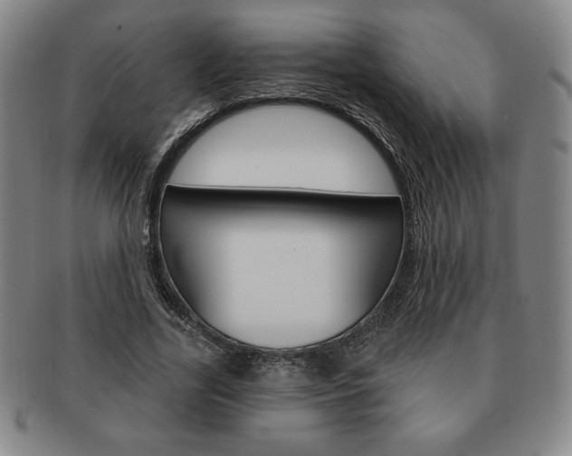 X0000091640731200708230948