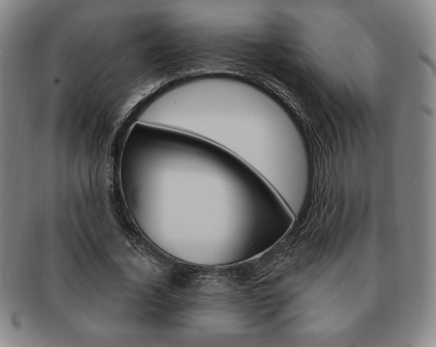 X0000091640732200708230948