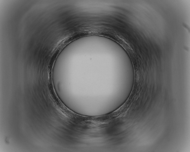 X0000091640733200708230948