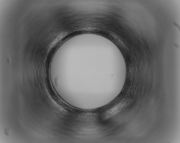 X0000091640734200708230948
