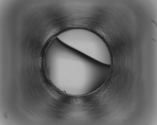 X0000091640735200708230948