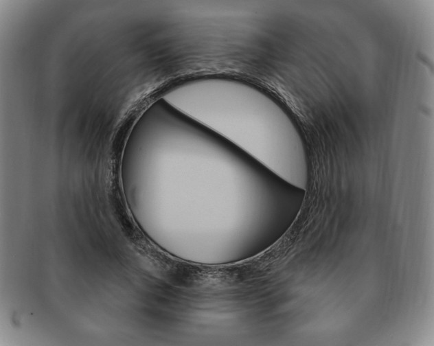X0000091640736200708230948