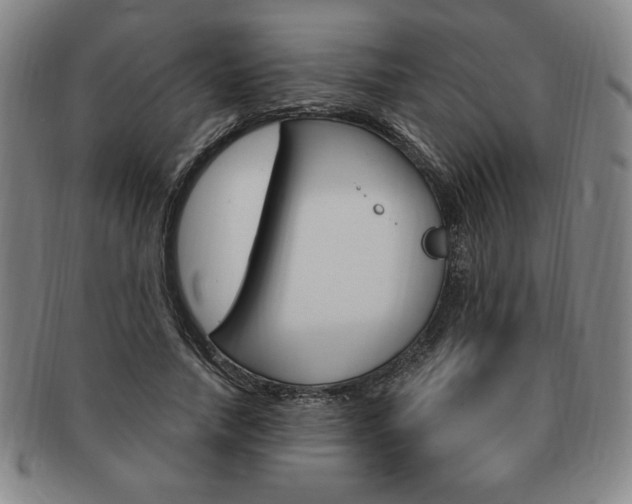 X0000091640738200708230948