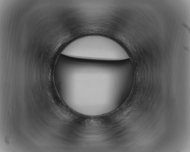 X0000091640739200708230948