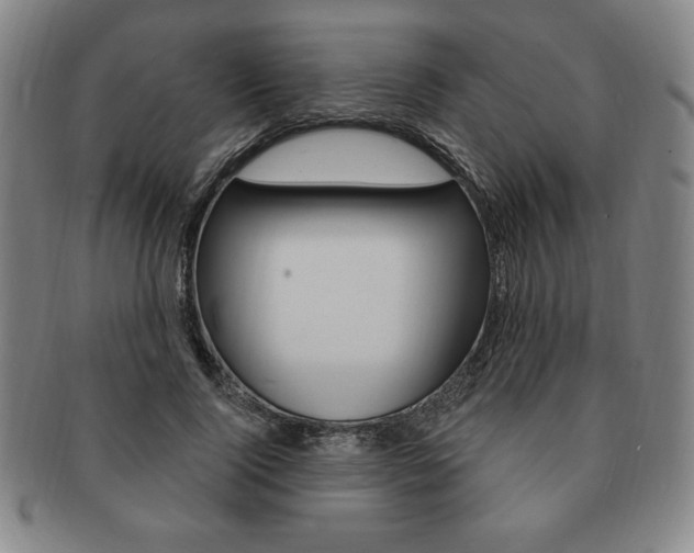 X0000091640740200708230948