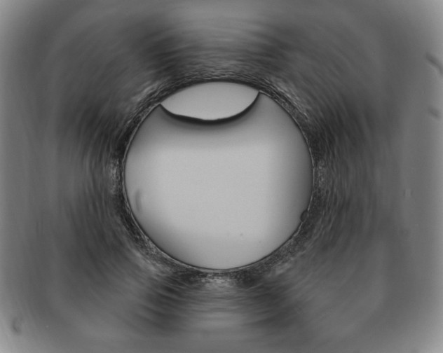 X0000091640741200708230948