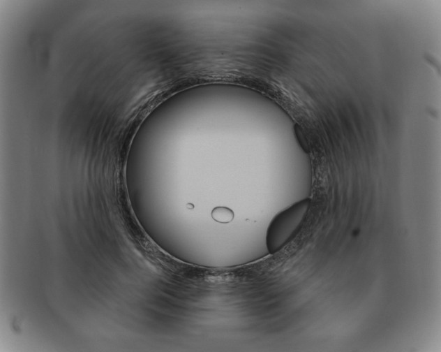 X0000091640744200708230948