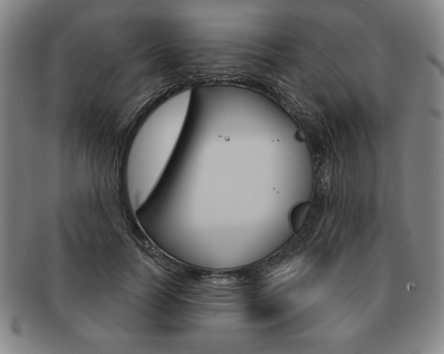 X0000091640746200708230948