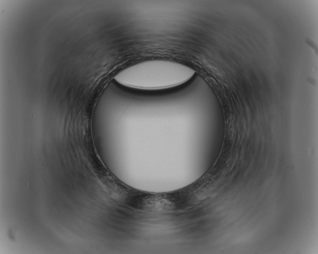 X0000091640747200708230948