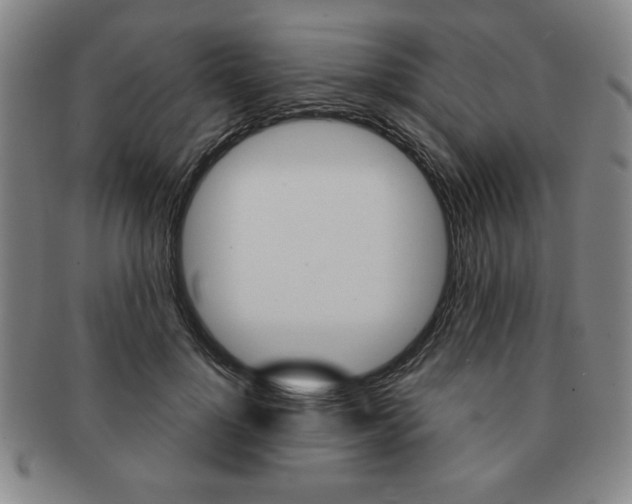 X0000091640748200708230948