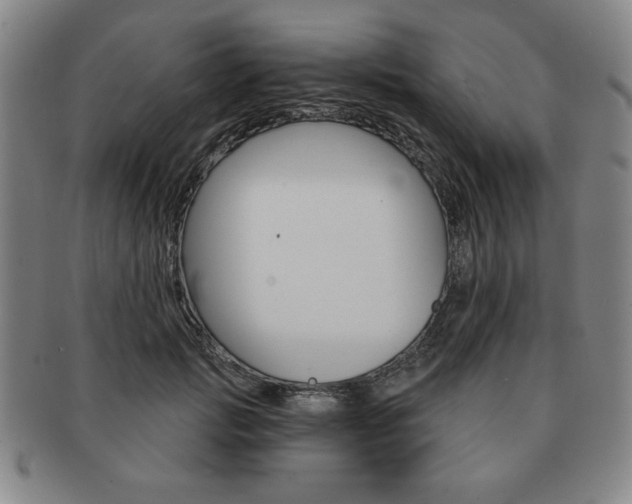 X0000091640749200708230948