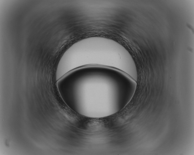 X0000091640750200708230948