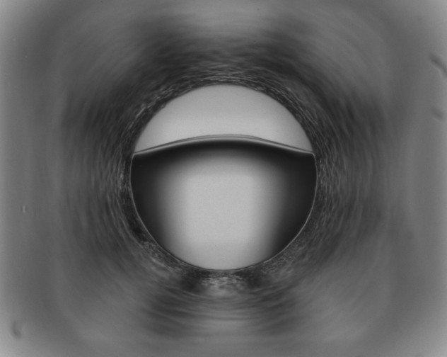 X0000091640752200708230948