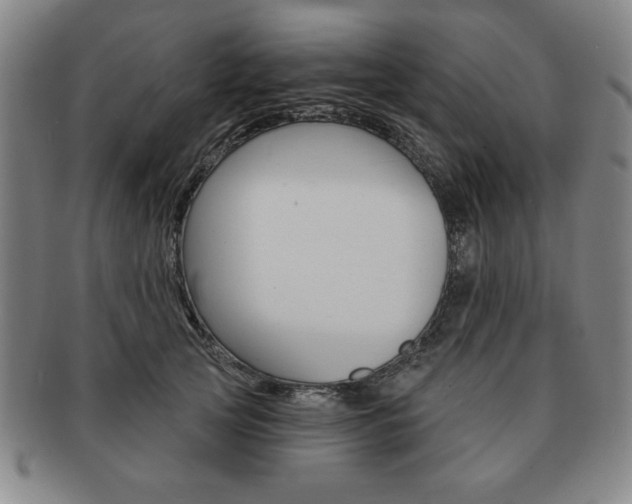 X0000091640753200708230948