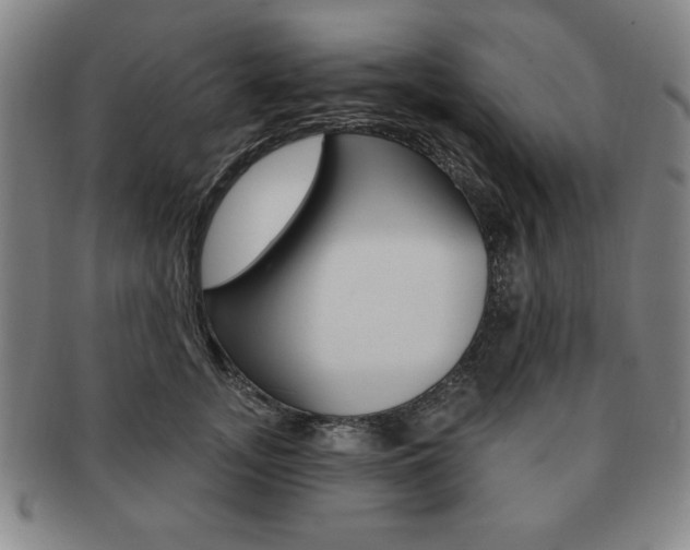 X0000091640755200708230948