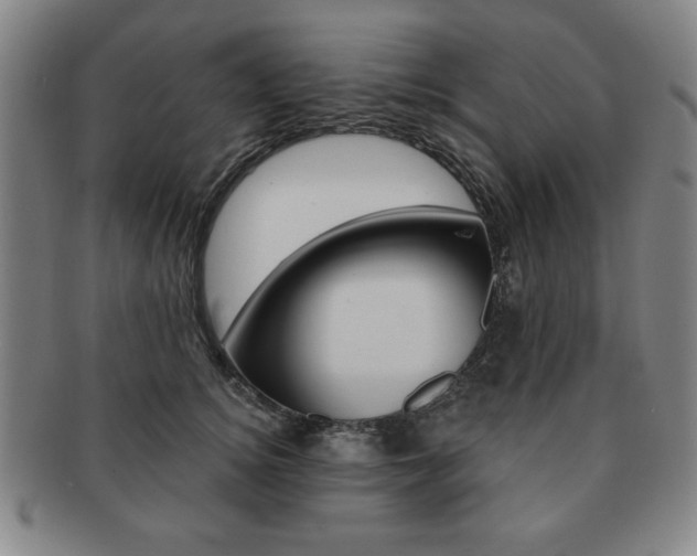 X0000091640756200708230948