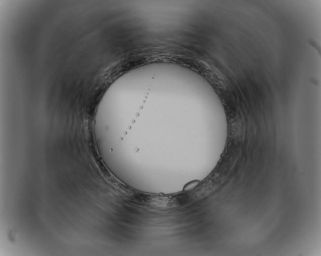 X0000091640757200708230948