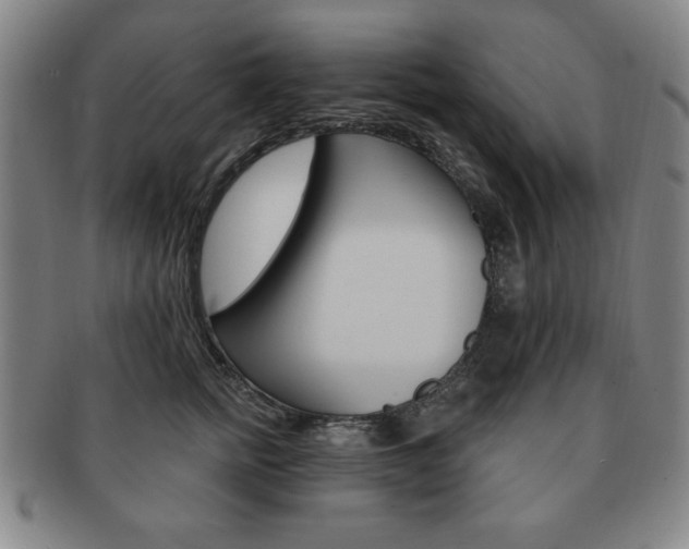 X0000091640758200708230948