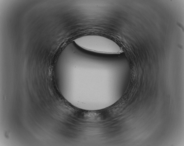 X0000091640759200708230948