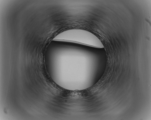 X0000091640760200708230948