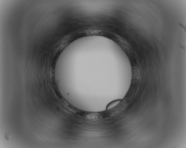 X0000091640761200708230948
