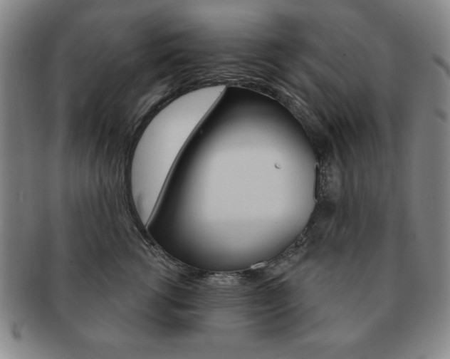 X0000091640762200708230948
