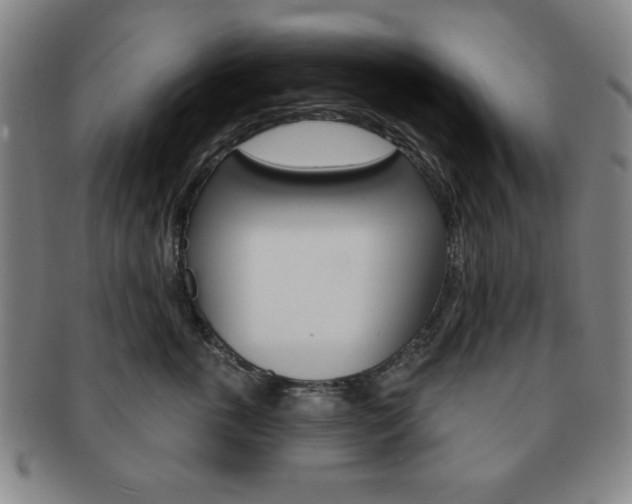 X0000091640763200708230948