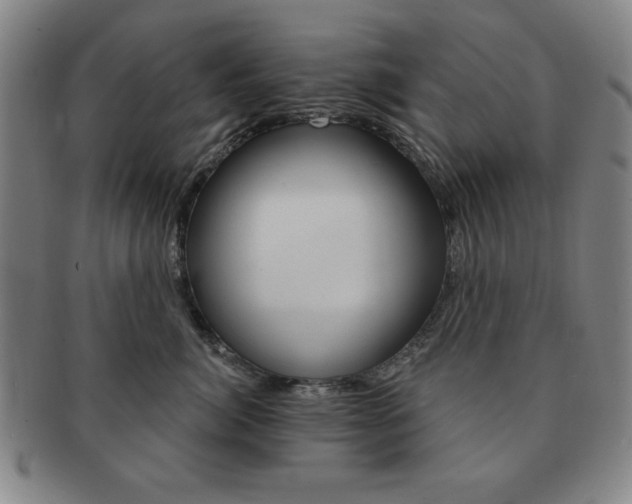 X0000091640764200708230948