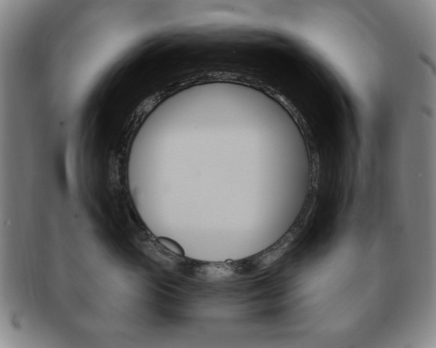 X0000091640765200708230948
