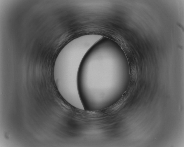 X0000091640766200708230948