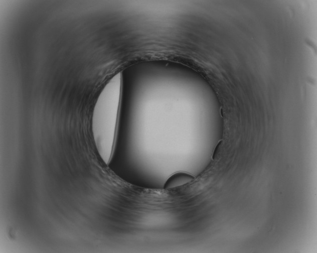 X0000091640768200708230948
