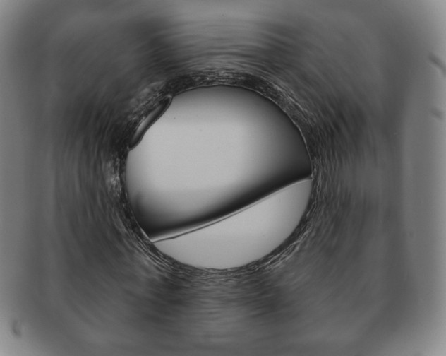 X0000091640771200708230948