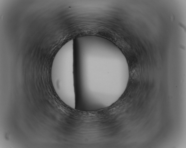X0000091640772200708230948