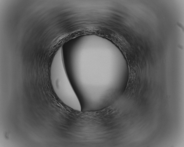 X0000091640773200708230948