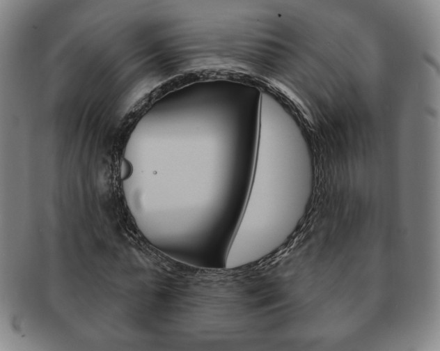 X0000091640775200708230948