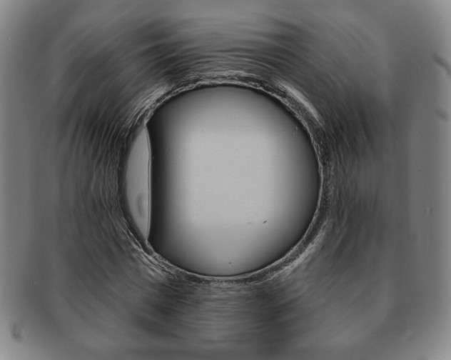 X0000091640777200708230948