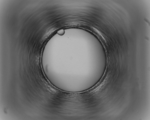 X0000091640778200708230948