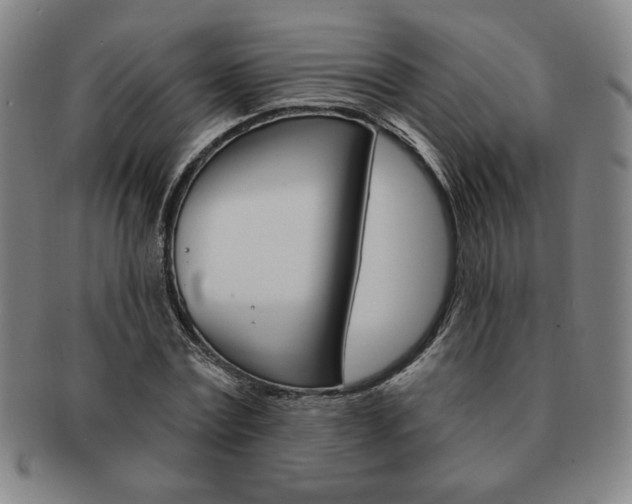 X0000091640779200708230948