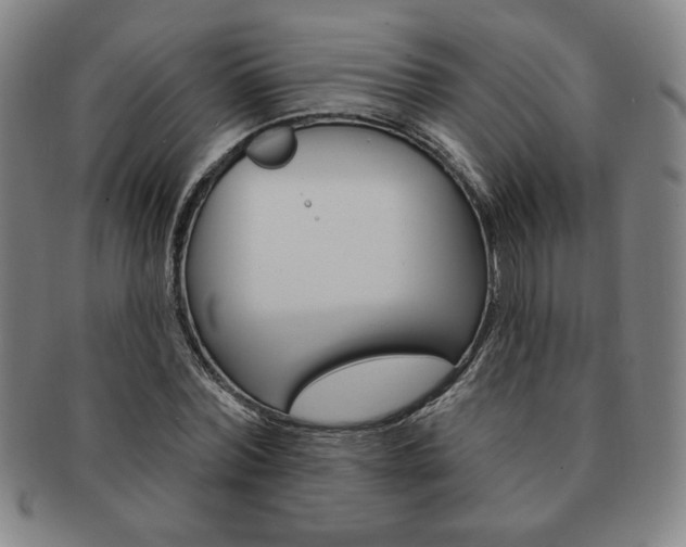 X0000091640780200708230948