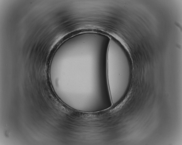 X0000091640783200708230947