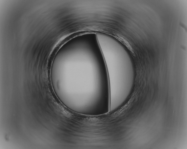 X0000091640784200708230947
