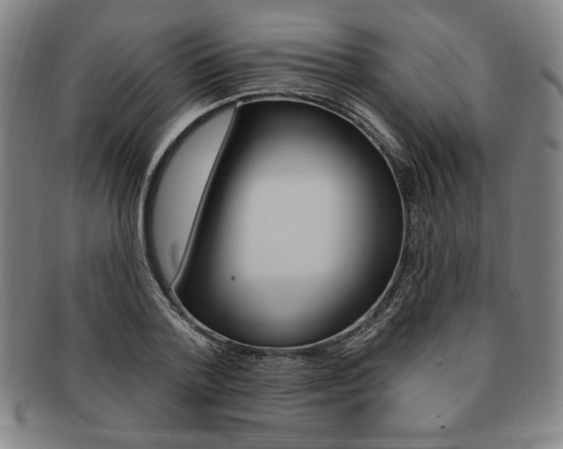 X0000091640788200708230947