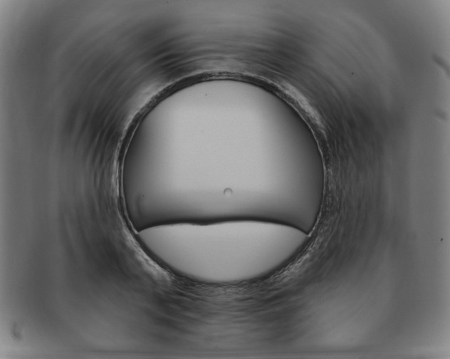X0000091640791200708230947