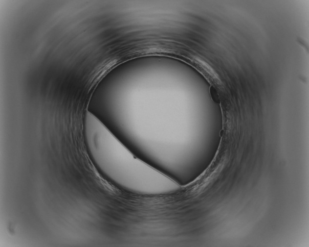 X0000091640793200708230947